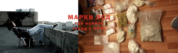 PSILOCYBIN Нефтекумск