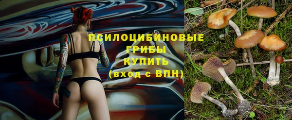PSILOCYBIN Нея